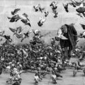 L’homme et les pigeons