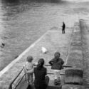 Le chien des quais