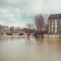 Entre le pont Louis-Philippe et l’île Saint-Louis, il y a un petit lampadaire immergé