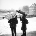 Tombe la neige / Jardin du Luxembourg