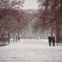 Jour de neige à Paris