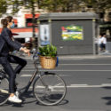 Le vélo et la plante verte