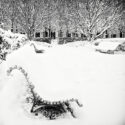 Jardin du Palais-Royal sous la neige / Banc immaculé