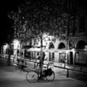 Une bicyclette le soir le long d’un arbre