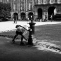 A la fontaine